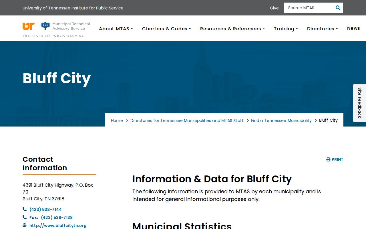 Bluff City Sullivan County historical municipal criminal records context
